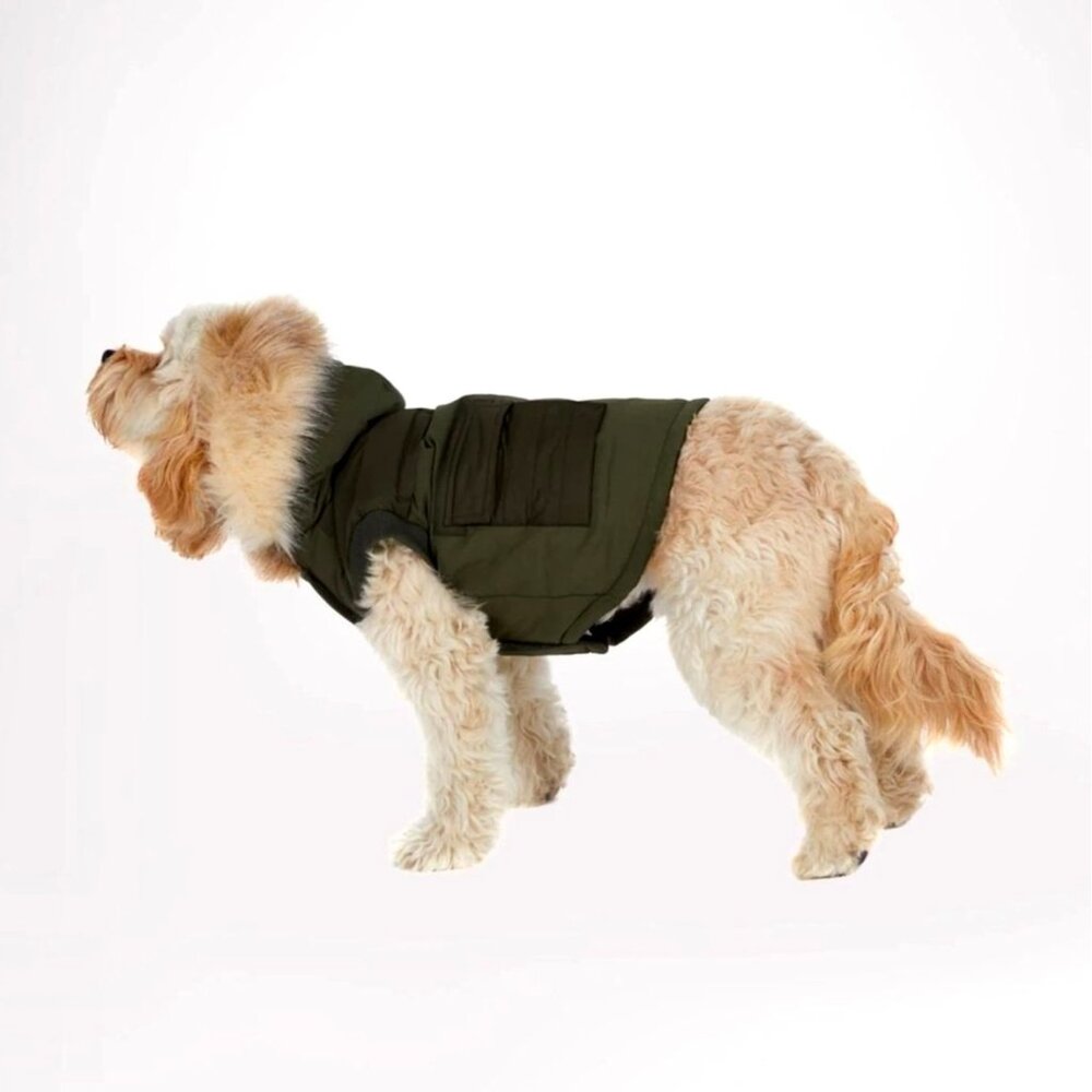 Parjar Pup Zeus Jacket for Dogs w/Faux Fur Trim Military Green XL NEW - Picture 11 of 11